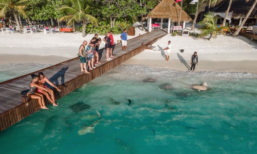 Sun Siyam Vilu Reef Maldives